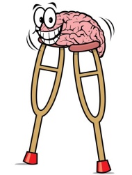 A new stage in brain evolution...
Новый этап в эволюции мозга...