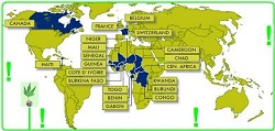 Carte de langue française et espering. * Frans en Espering lang mep.